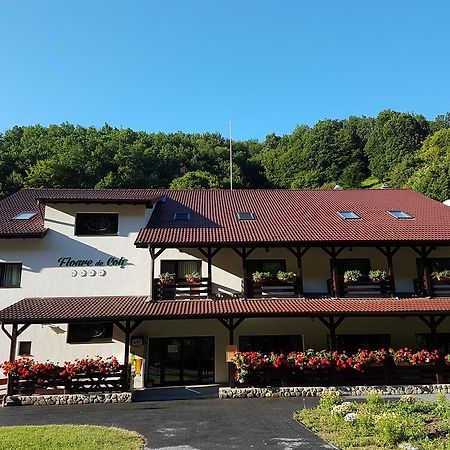 Pensiunea Floare De Colt Poiana Galdei Exteriér fotografie
