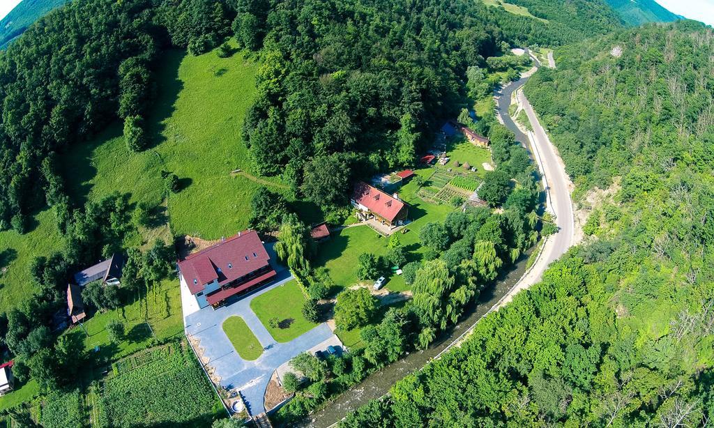 Pensiunea Floare De Colt Poiana Galdei Exteriér fotografie